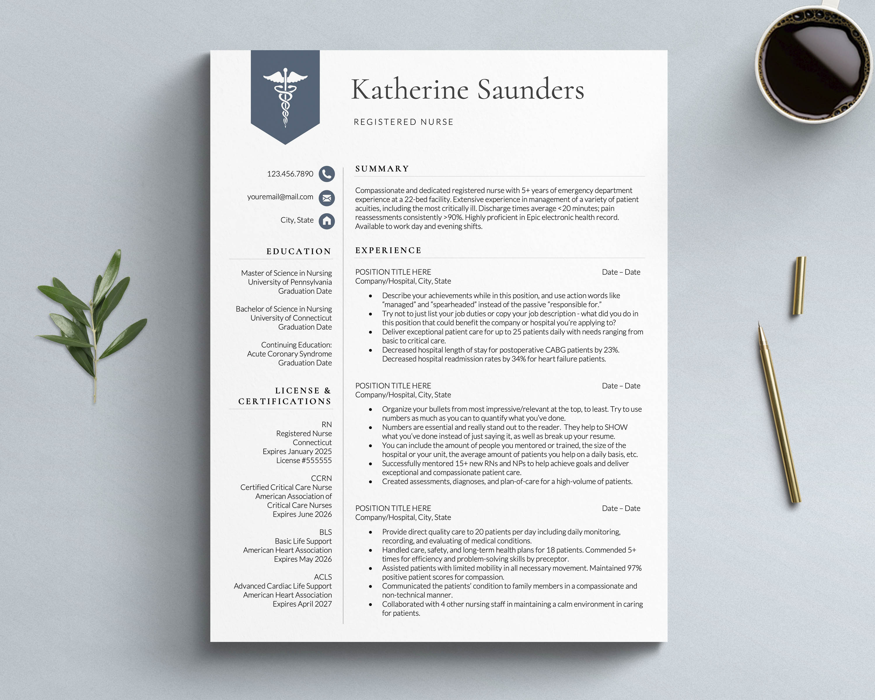 professional nursing resume template