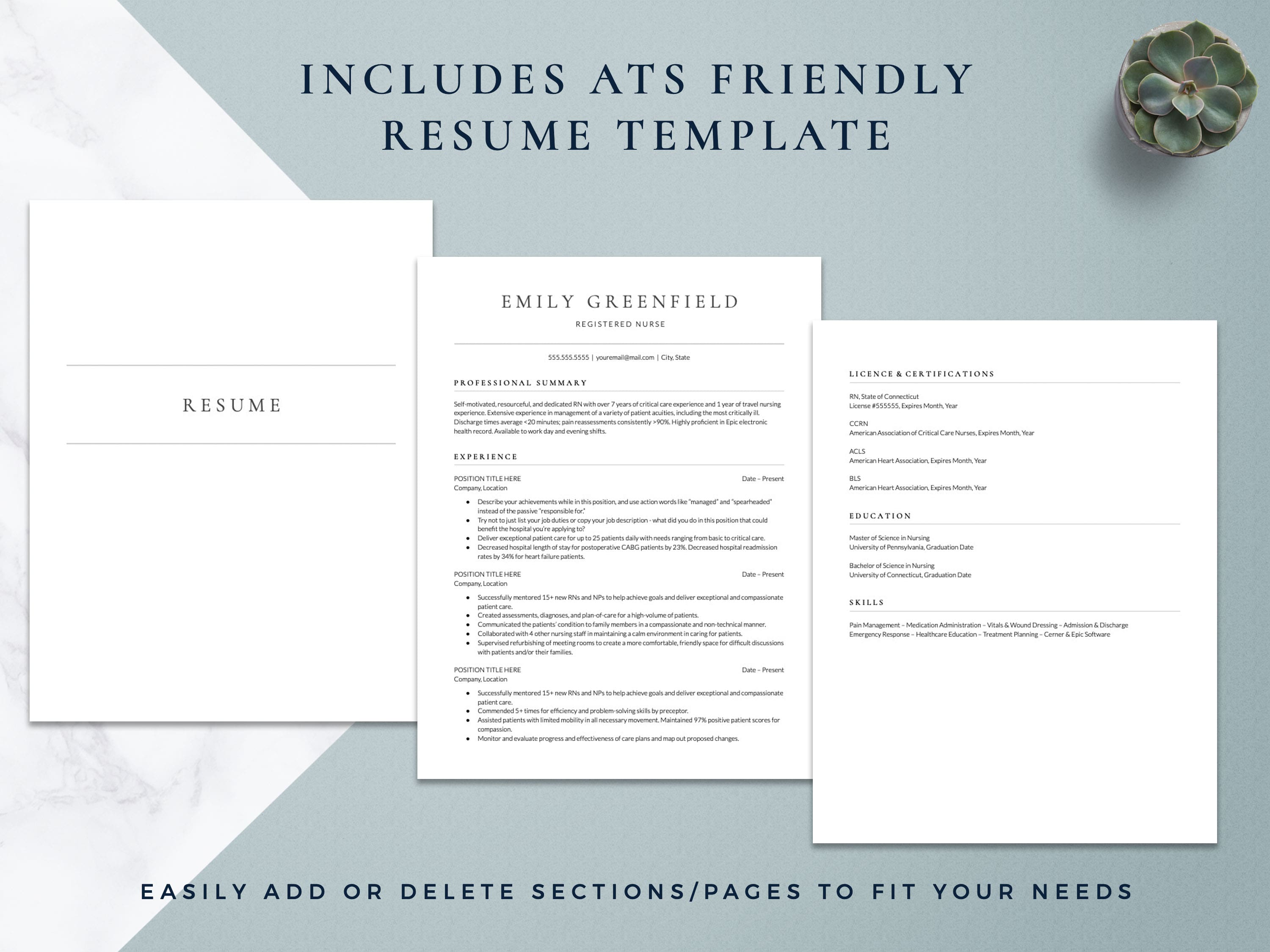 nursing portfolio plus resume template