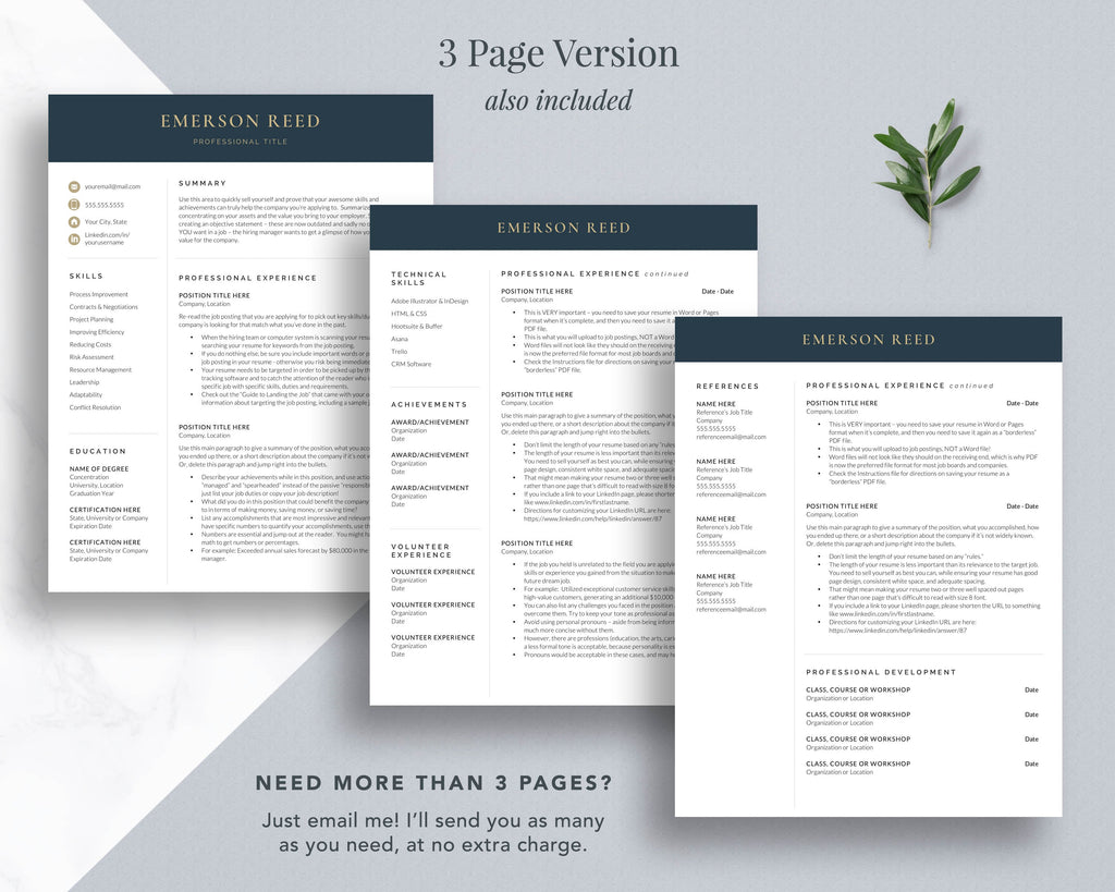 CEO resume template c level resume word pages google docs