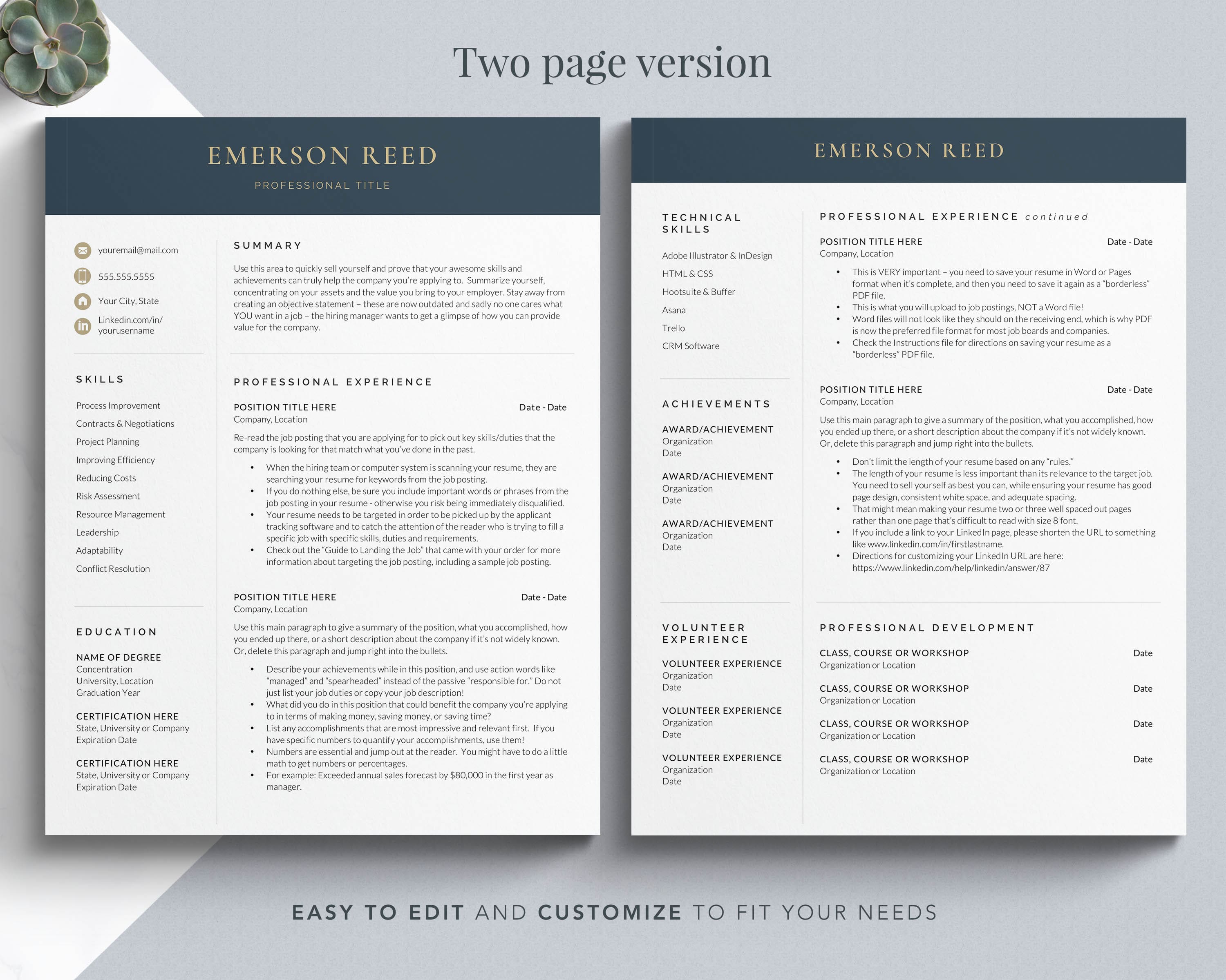 executive resume template c level resume template