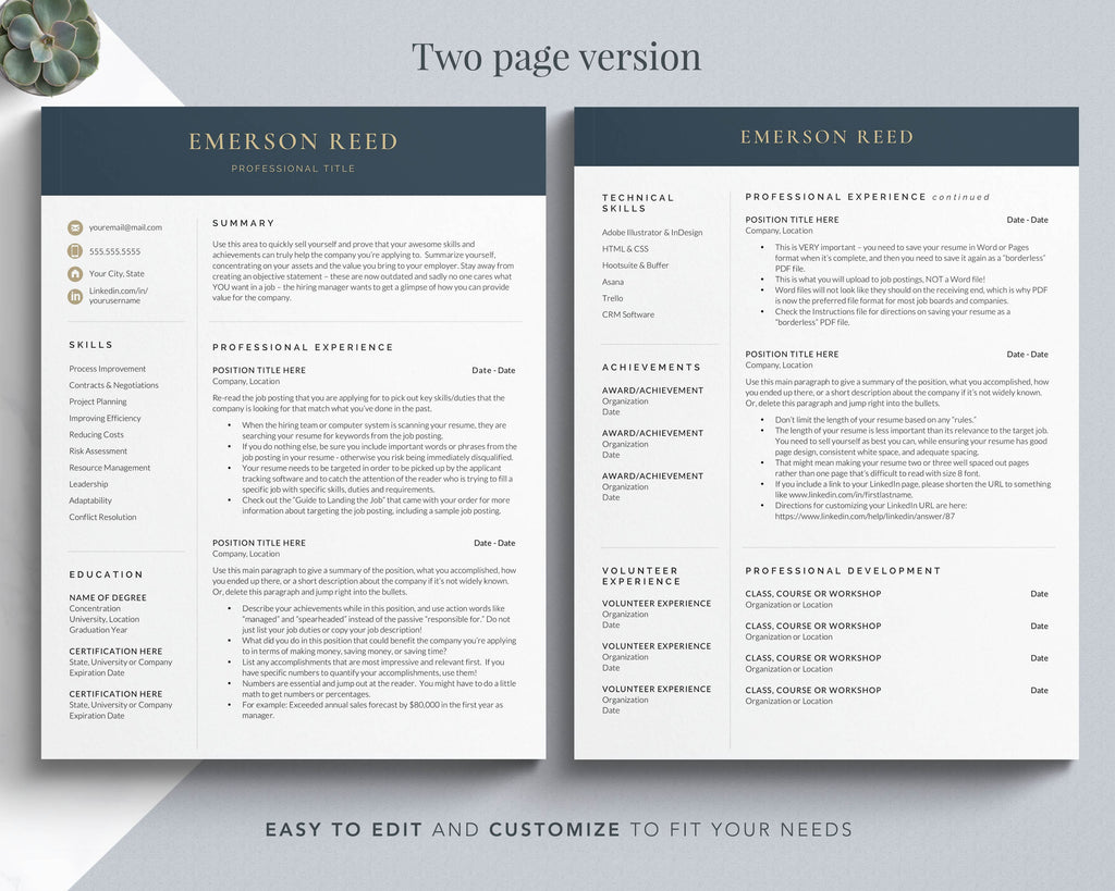 executive resume template c level resume template
