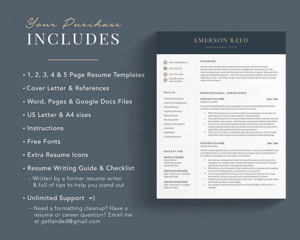 Executive Director Resume Template Word Pages Google Docs CV