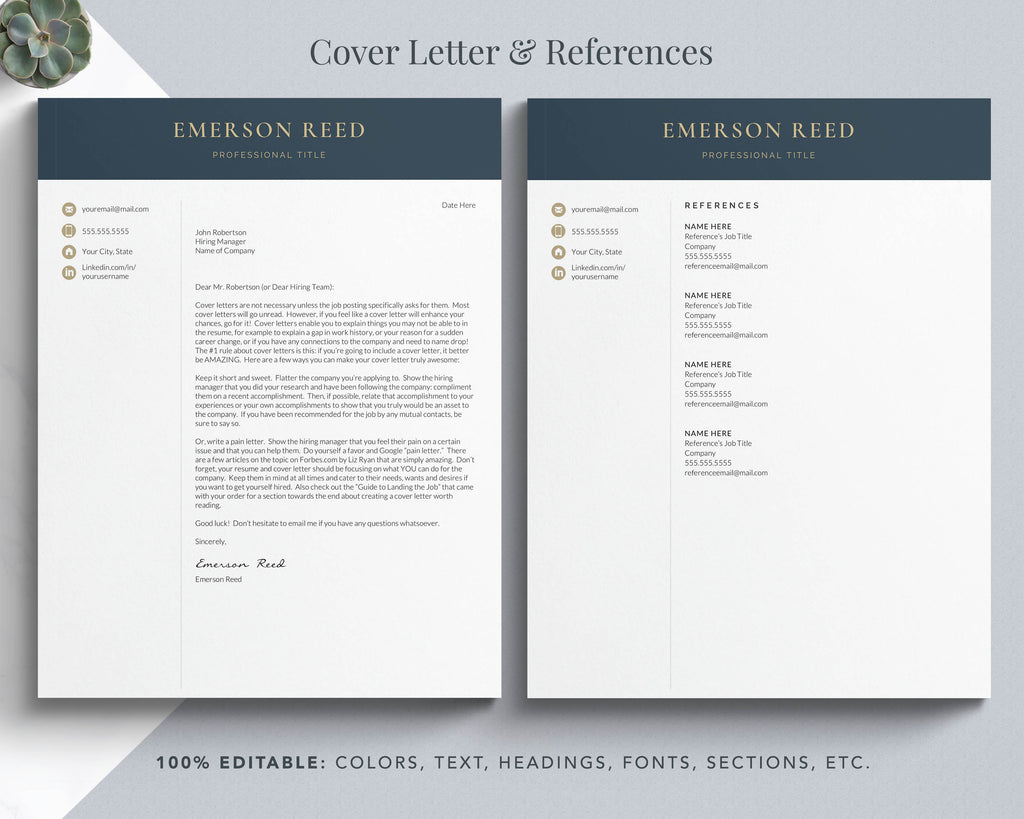professional resume and cover letter template